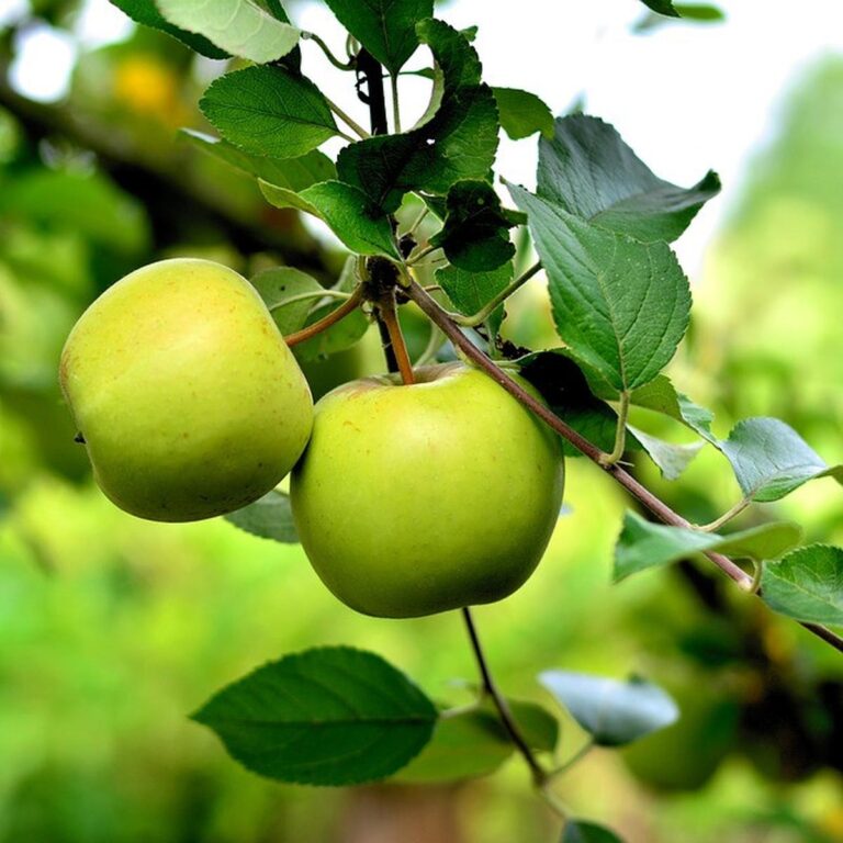 songgoriti hot spring apel malang
